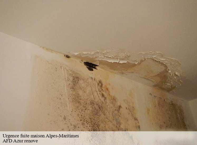 urgence-fuite-maison-afd-azur-renove-1