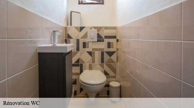 renovation-wc-afd-azur-renove-6