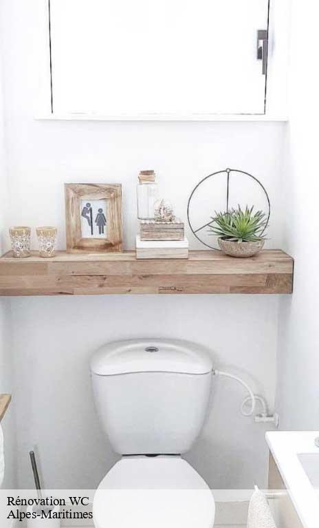renovation-wc-afd-azur-renove-2