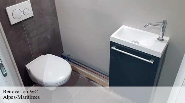 renovation-wc-afd-azur-renove-5