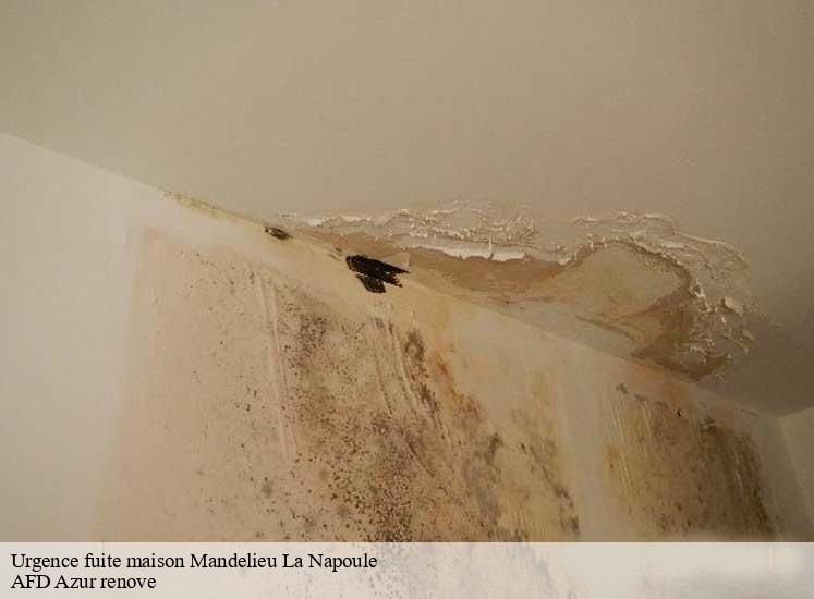 urgence-fuite-maison-afd-azur-renove-1